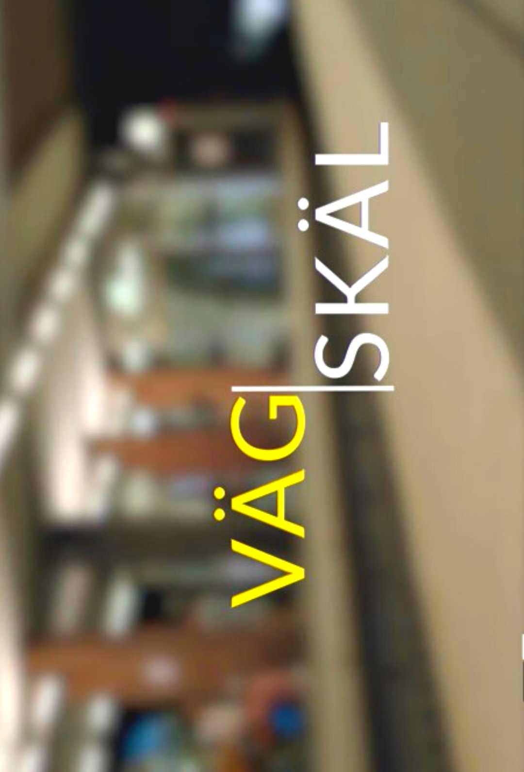 постер Vagskal